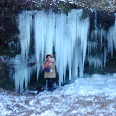 A L'Ombre De La Cascade Daire Lemberg Dış mekan fotoğraf