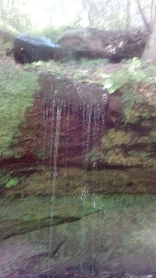 A L'Ombre De La Cascade Daire Lemberg Dış mekan fotoğraf