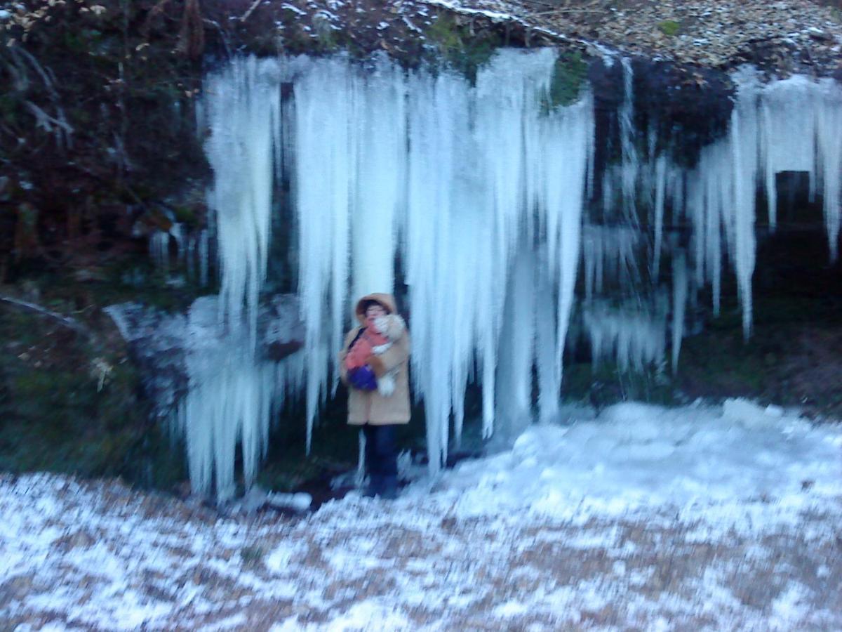 A L'Ombre De La Cascade Daire Lemberg Dış mekan fotoğraf